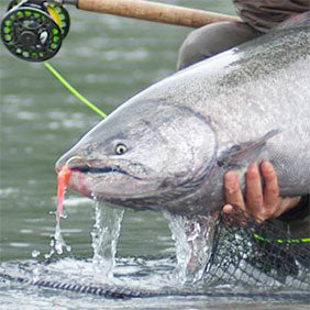 Fly Fishing Reels for Salmon, Sea-Trout & Steelhead - Rok Max