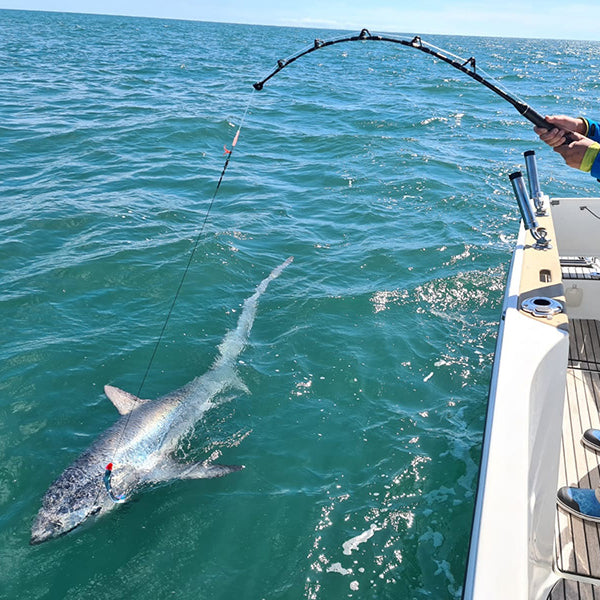 A Guide to Choosing Shark Fishing Wire - Rok Max