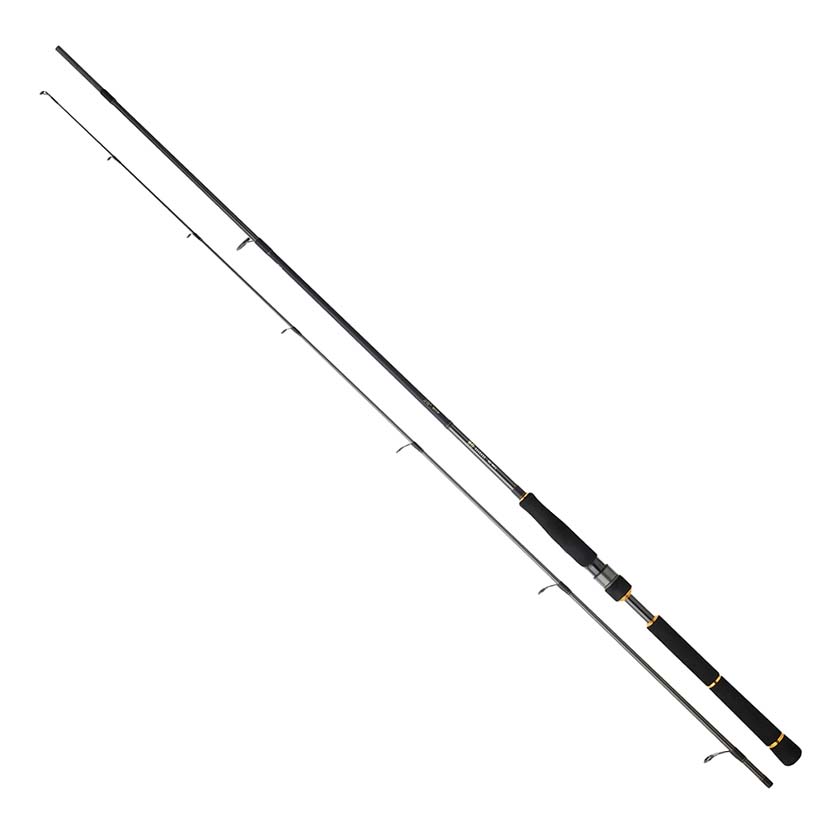 Daiwa BG Sea Bass Spinning Rod