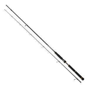 Daiwa BG Sea Bass Spinning Rod