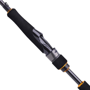 Daiwa BG Sea Bass Spinning Rod