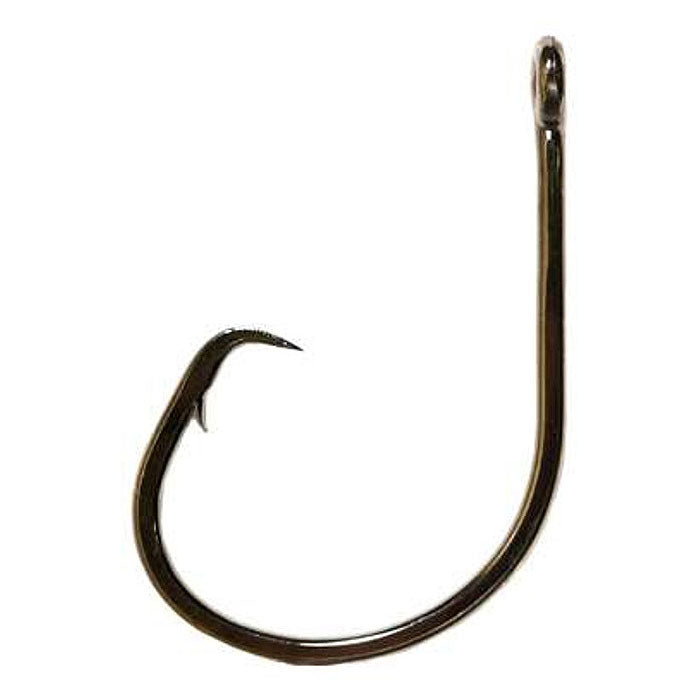  Circle Ringed Hooks, 10Pcs Fishing Hooks Saltwater Heavy Duty  Big Game Hook for Tuna, Heavy Tackle Fishing Hook with Action Ring : Sports  & Outdoors