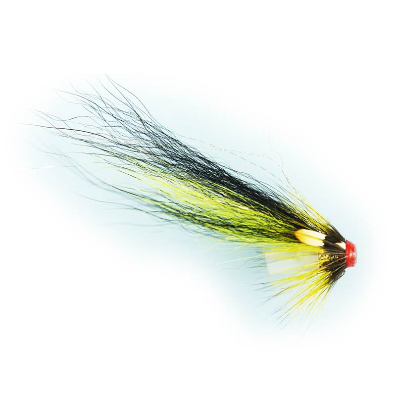 Caledonia Gledswood Tosh Loop Bottle Tube Fly